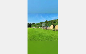 Fougères TAE vidéo 1